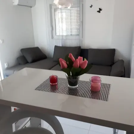 Pleša *